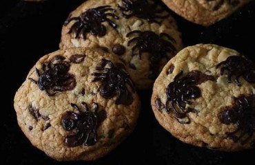 galletas arañas-el vesubio